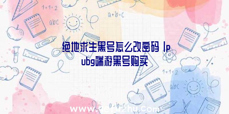 「绝地求生黑号怎么改密码」|pubg端游黑号购买